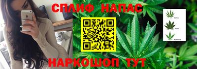 spice Краснокаменск