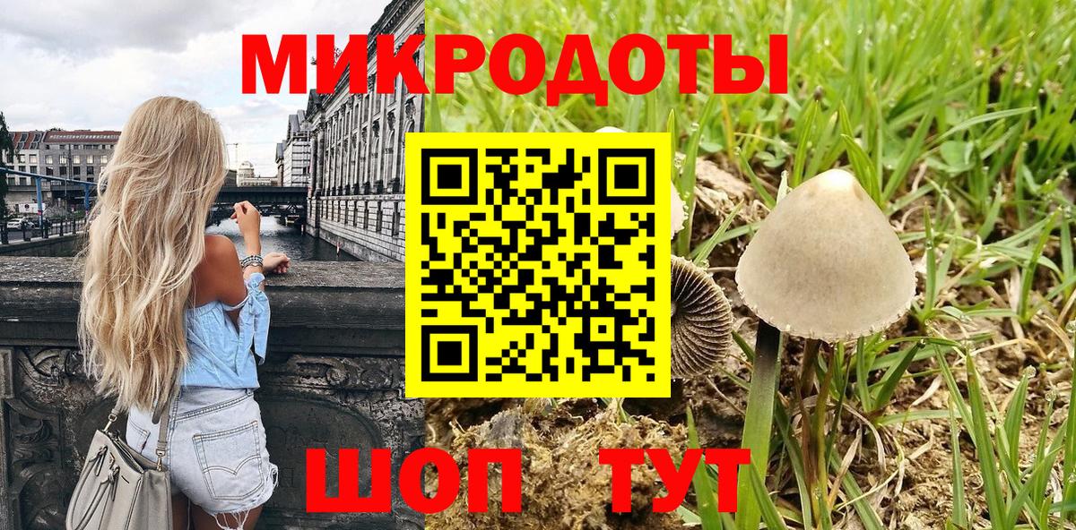 Кемерово  Псилоцибиновые грибы прущие грибы  Вход с VPN 