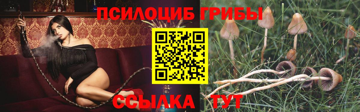 БУТИРАТ Кемерово